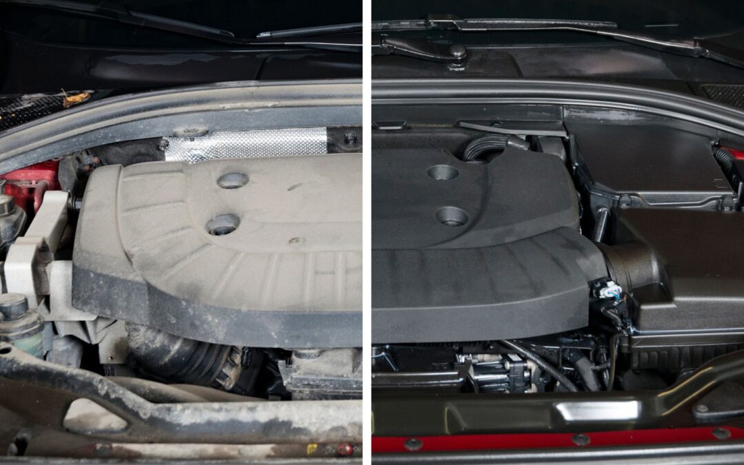 Customer Stories: Transformations We’ve Achieved at Elite Auto Spa